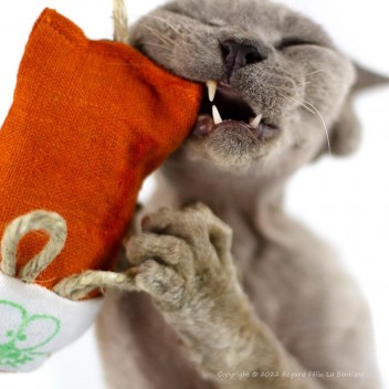 Jouet pour chat écolo à la cataire From The Field