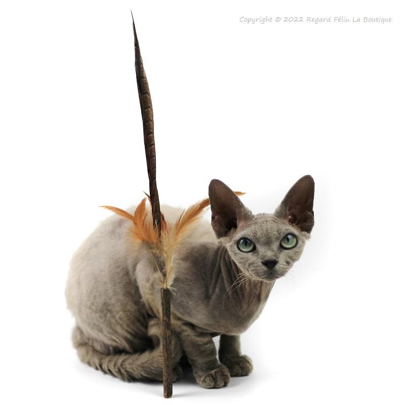 Jouet pour chat matatabi et plumes