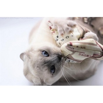 Doudou jouet pour chat cataire - 4Cats Coussin Bruissant