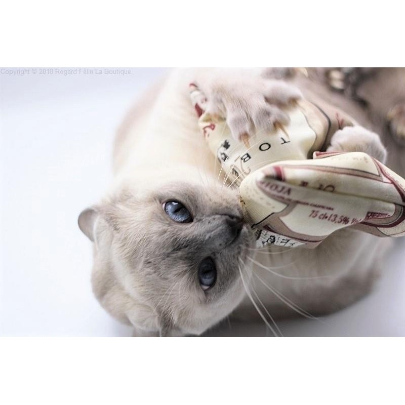 Doudou jouet pour chat cataire - 4Cats Coussin Bruissant