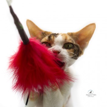 Plumeau pour chat Go Cat
