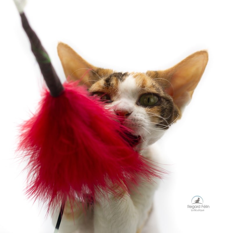 Plumeau pour chat Go Cat