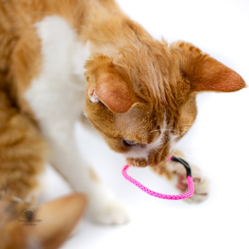 Elastique chouchou pour chat