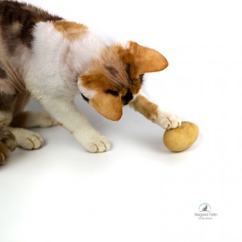 Jouet pour chat naturel