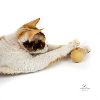 Jouet pour chat naturel