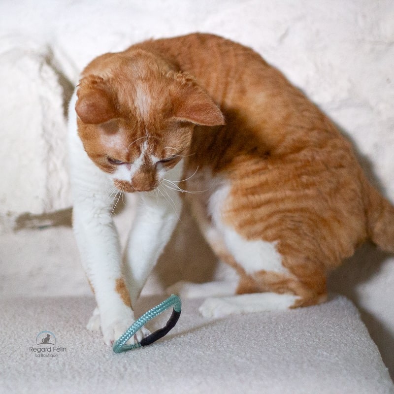 Scrunchy La Gabeline - Jouet chouchou  et élastique pour chat