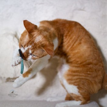 Scrunchy La Gabeline - Jouet chouchou  et élastique pour chat