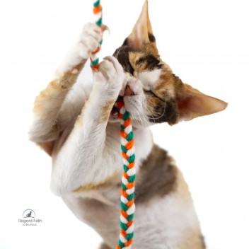 Jouet pour chat en laine - Pixie Un Poil de Laine