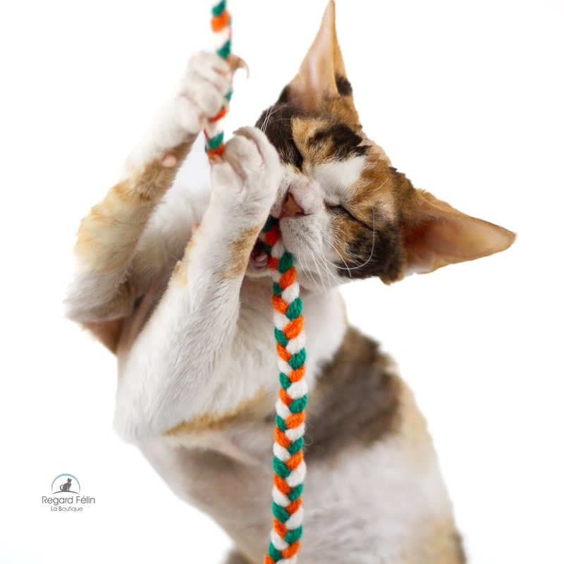 Jouet pour chat en laine - Pixie Un Poil de Laine