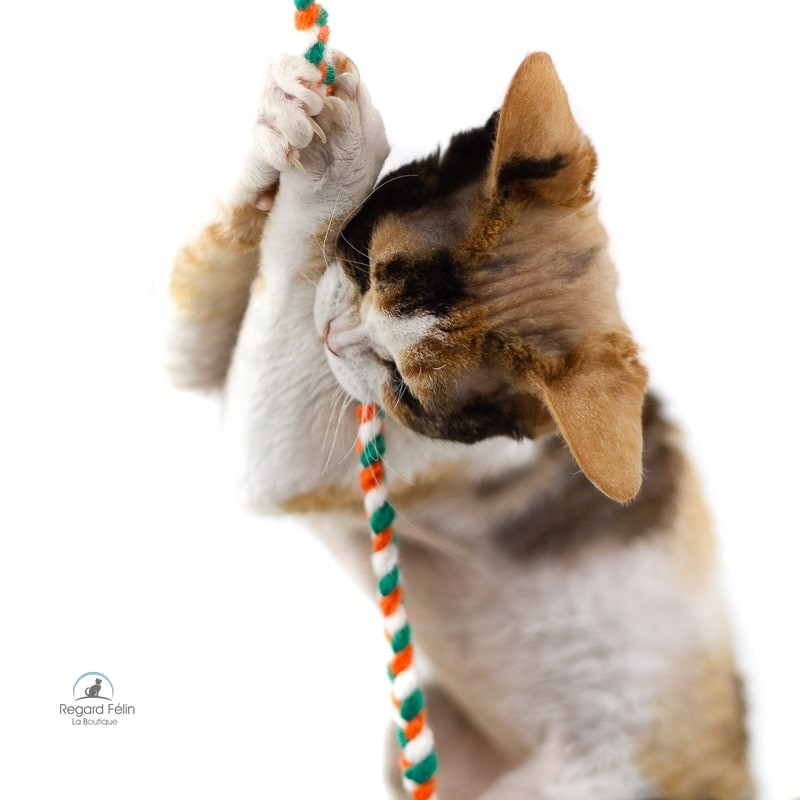 Jouet pour chat en laine - Pixie Un Poil de Laine