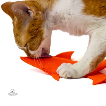 Jouet poisson cataire pour chat et chaton