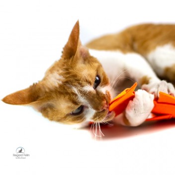 Jouet poisson cataire pour chat et chaton