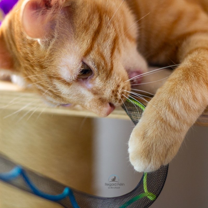 Plumeau jouet serpentin pour chat et chaton