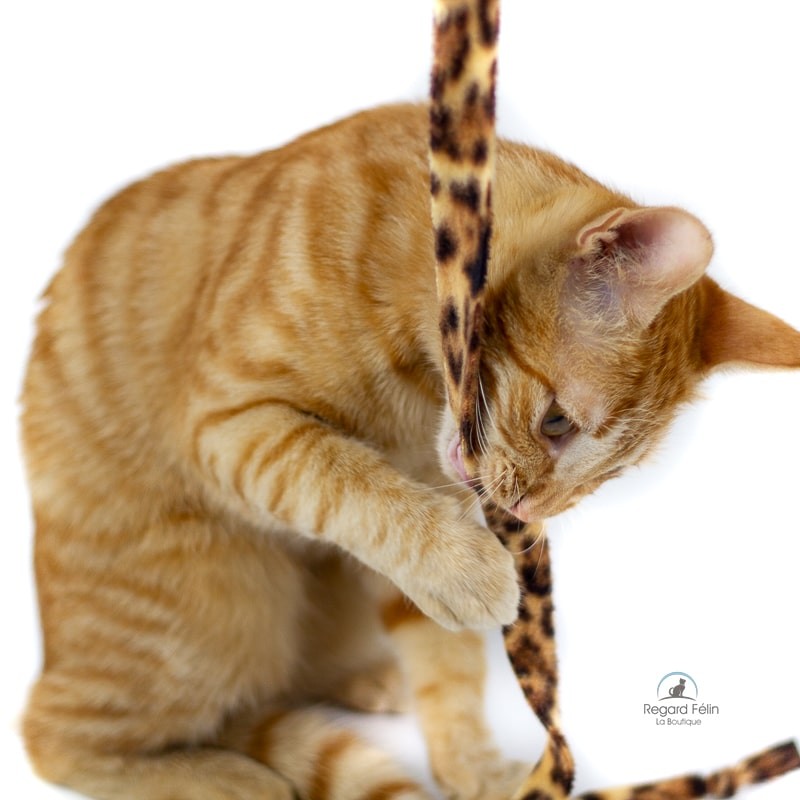 Cat Charmer Jungle - Canne à pêche pour chat