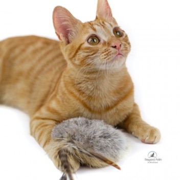 Jouet pour chat contre l'ennui en peau de lapin et plumes