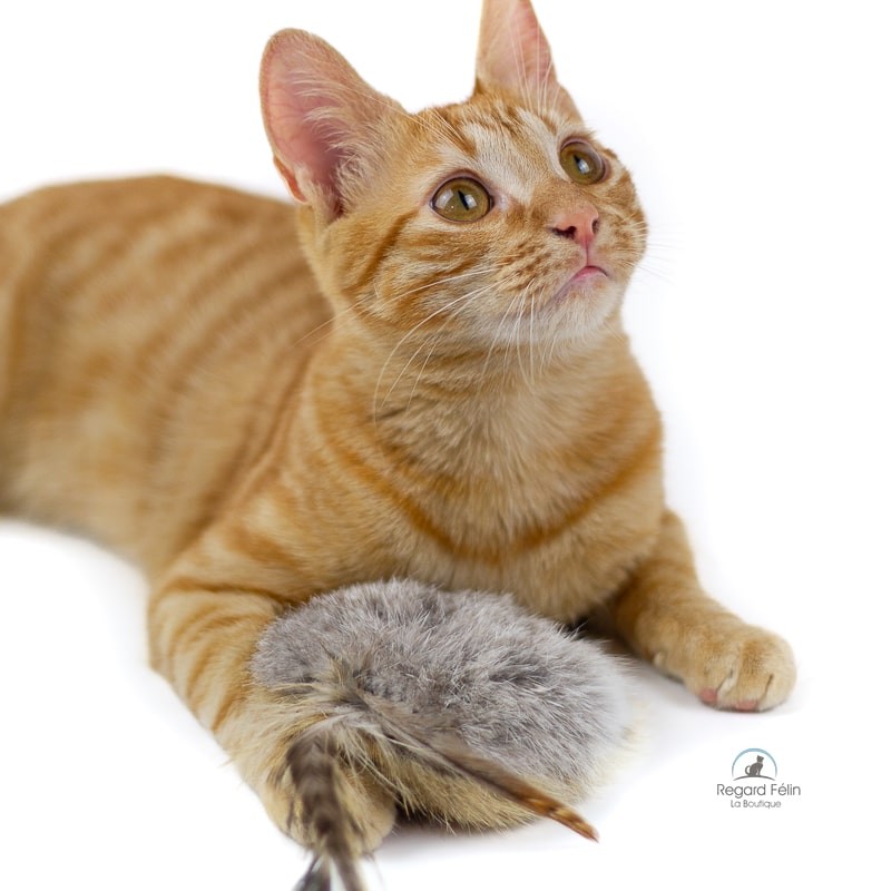 Jouet pour chat contre l'ennui en peau de lapin et plumes