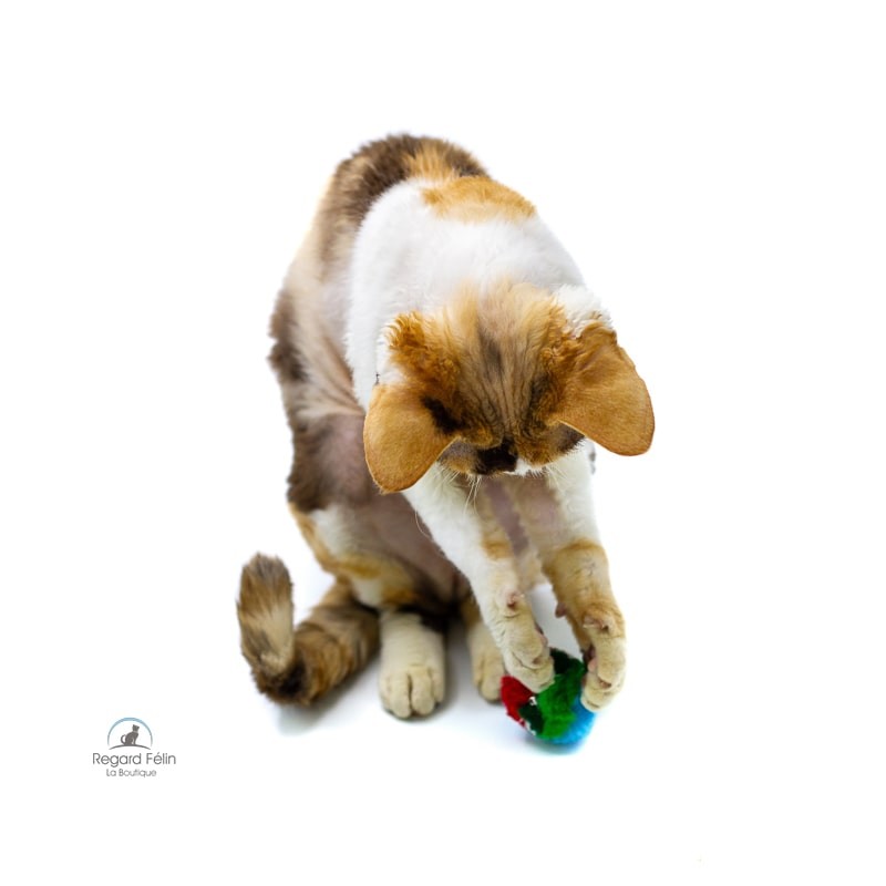 Mini Crinkle Ball Cancor - Balle pour chat