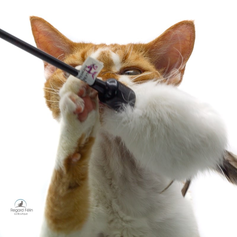 Plumeau pour chat en fourrure naturelle et plumes