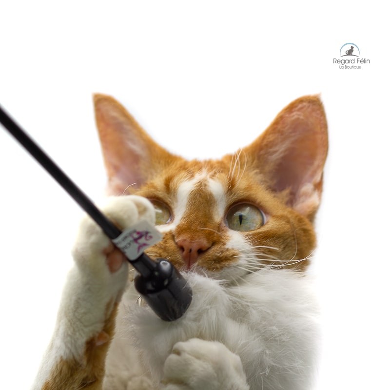 Plumeau pour chat en fourrure naturelle et plumes