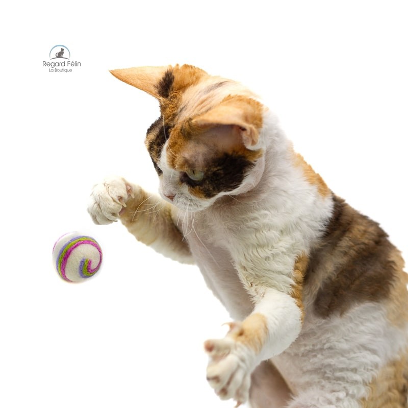 Balle laine pour chatons et chats