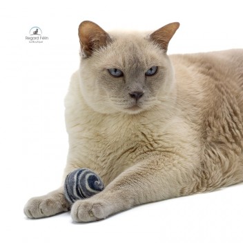 Balle pour chat en laine feutrée fait main