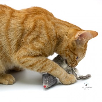 Souris sonore pour chat en fourrure