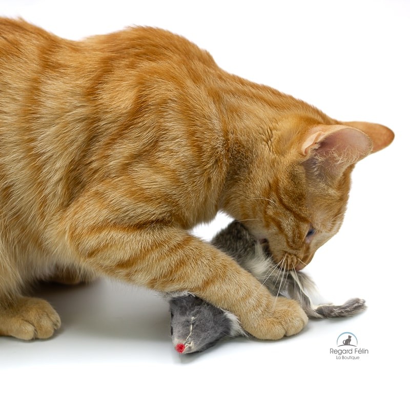 Souris sonore pour chat en fourrure