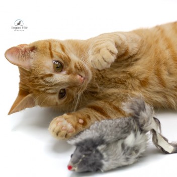 Souris sonore pour chat en fourrure