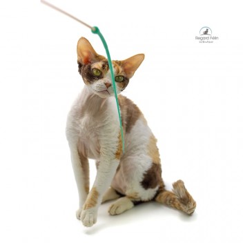 Plumeau pour chat en bois et silicone