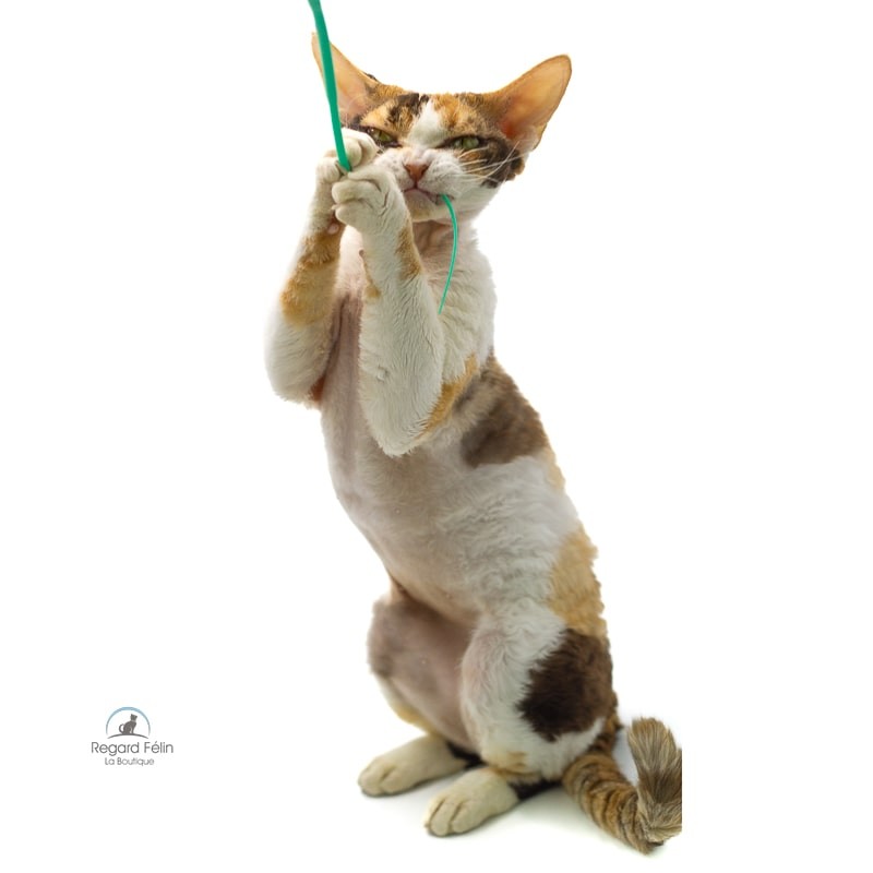 Plumeau pour chat en bois et silicone
