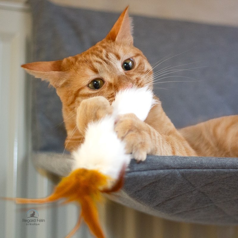 Jouet pour chat en fourrure et plumes avec cataire