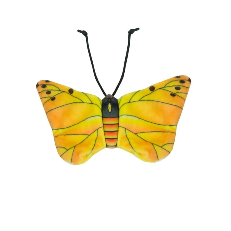 Jouet chat Papillon et cataire