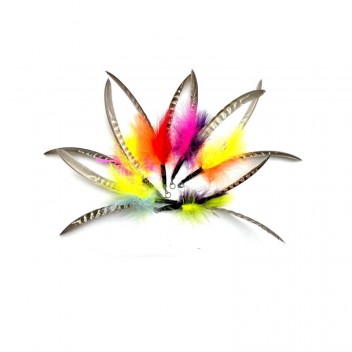 Jouet pour chat plumes pour canne à pêche