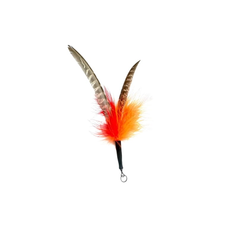 Jouet pour chat plumes pour canne à pêche