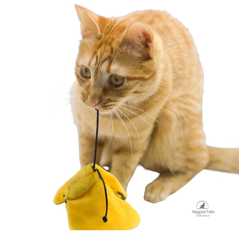 Jouet chat Papillon et cataire