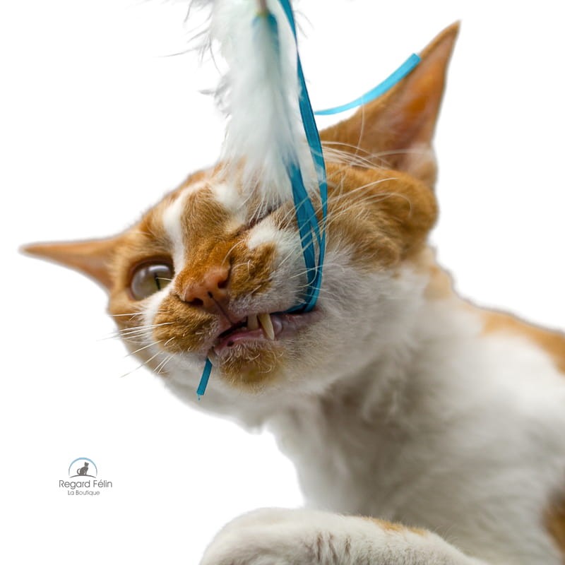 Plumeau pour chat avec pompons-rubans-plumes