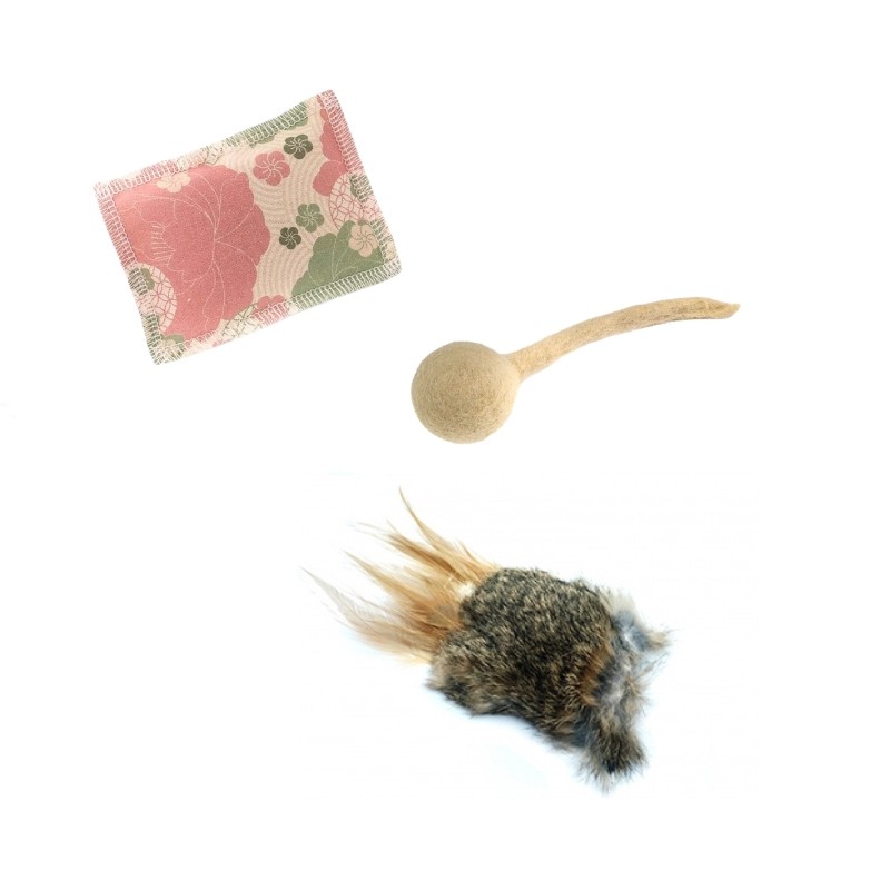 Lot de jouets pour chat