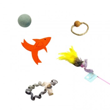 Découverte Regard Félin - Sérénité