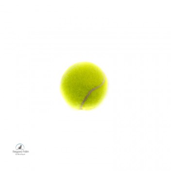 Balle de tennis pour chat et chaton