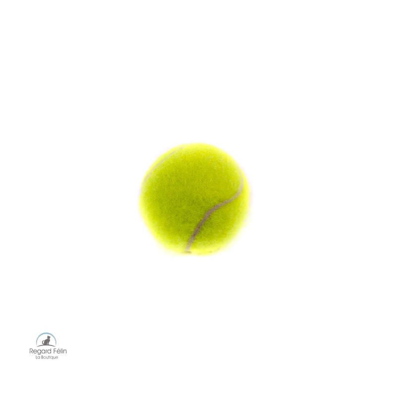 Balle de tennis pour chat et chaton