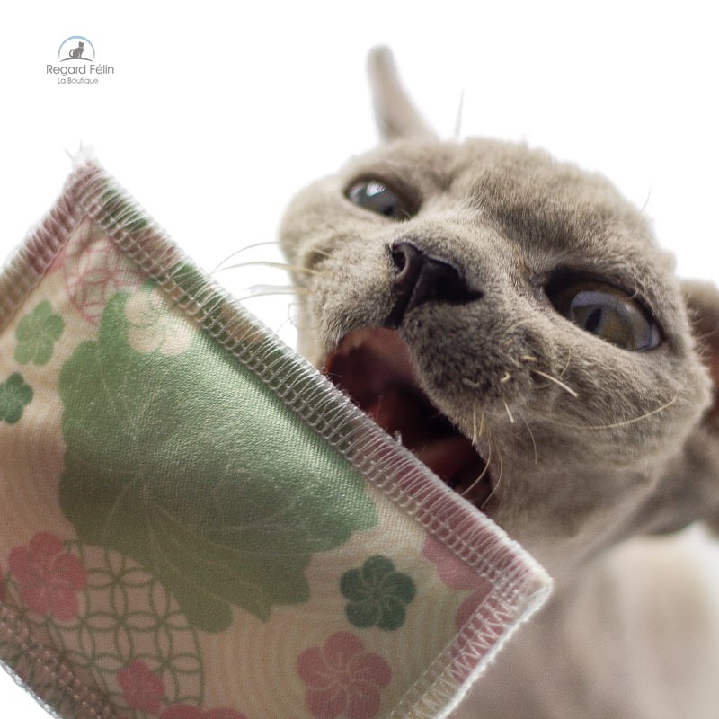 Jouet pour chat valériane - 4cats Japan Coussinet