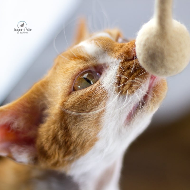 Jouet en laine pour chat et chaton fait main
