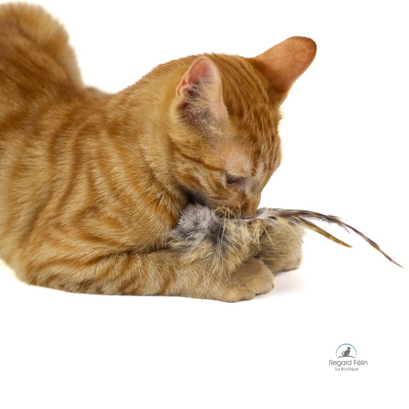Jouet pour chat contre l'ennui en peau de lapin et plumes