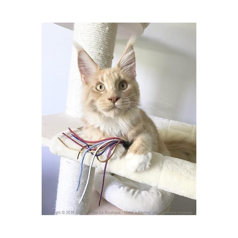 Jouet pour chat en cuir -Plumeau Cuir