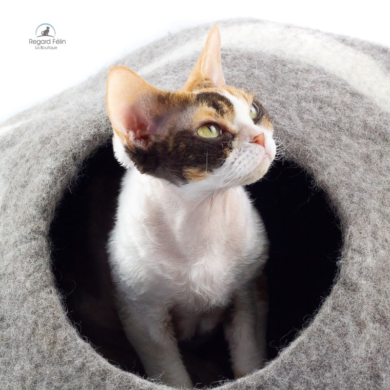 Grotte en laine pour chat - Cat cave - Cocon chat