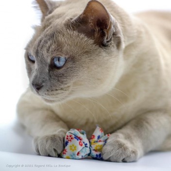 Catnip Drop - Jouet pour chat à la cataire