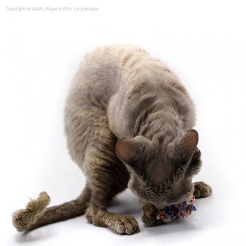 Catnip Drop - Jouet pour chat à la cataire
