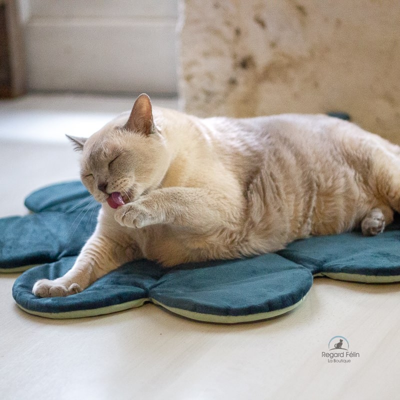 Tapis pour chat trèfle
