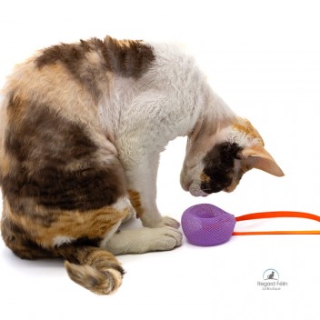 Kitty Boinks Doodles - Jouet tube pour chat