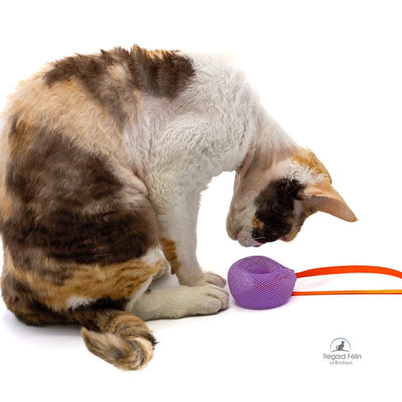 Kitty Boinks Doodles - Jouet tube pour chat